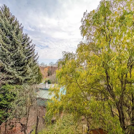 Krzywoustego Comfort By Bookinghost Apartamento